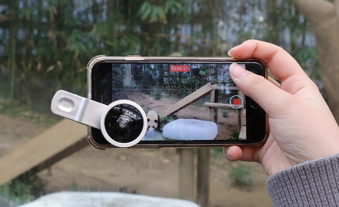 에버랜드 판다월드를 찾은 한 관람객이 푸바오의 모습을 카메라에 담고 있다.