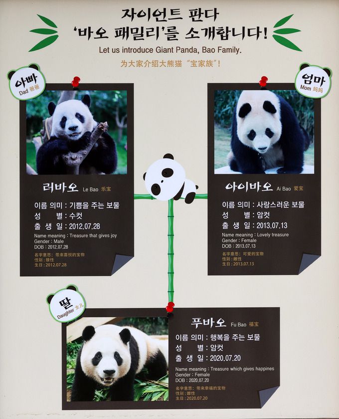 에버랜드 판다월드에 바오패밀리 소개 안내문이 붙어 있다.