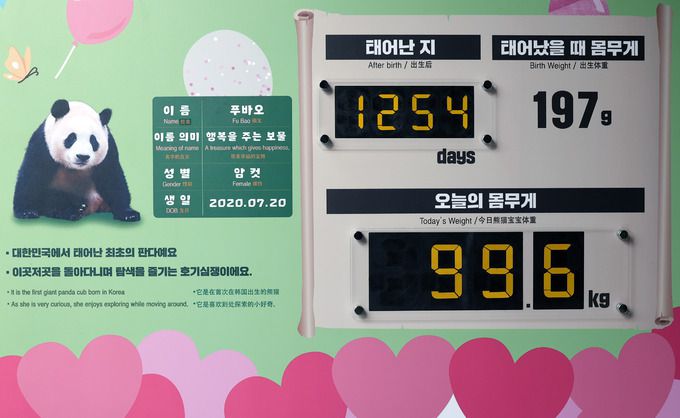 에버랜드 판다월드에 푸바오를 소개하는 안내문이 붙어 있다.