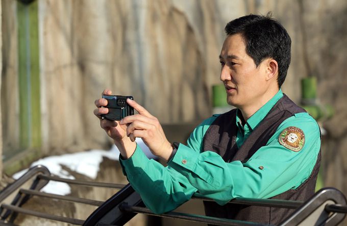 송바오 또는 작은 할아버지라고 불리는 송영관 사육사가 휴대전화로 푸바오를 촬영하고 있다.