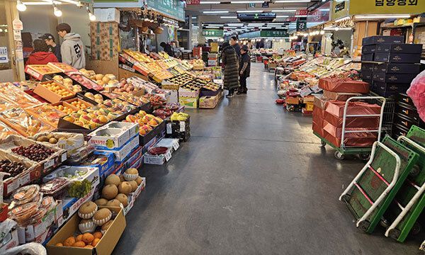 설을 닷새 앞둔 5일 서울 송파구 가락시장을 찾은 시민이 과일을 살펴보고 있다.