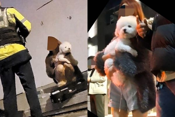 지난 3일 새벽 서울 강남구 논현동에서 음주운전 사망 사고를 낸 여성 운전자가 강아지를 끌어안고 있는 모습. 온라인 커뮤니티 갈무리