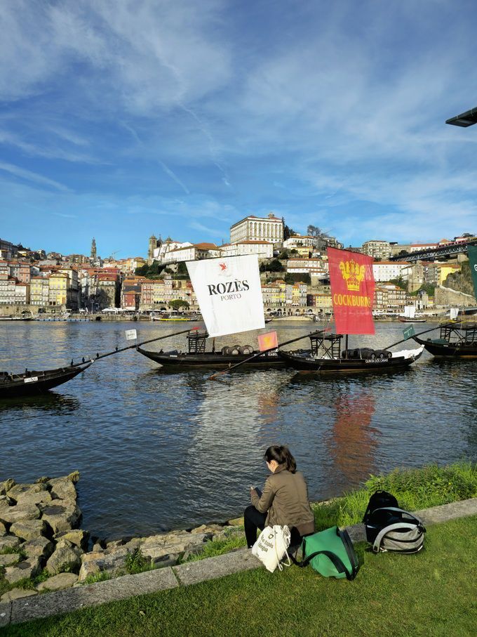 Rozes. 최현태 기자