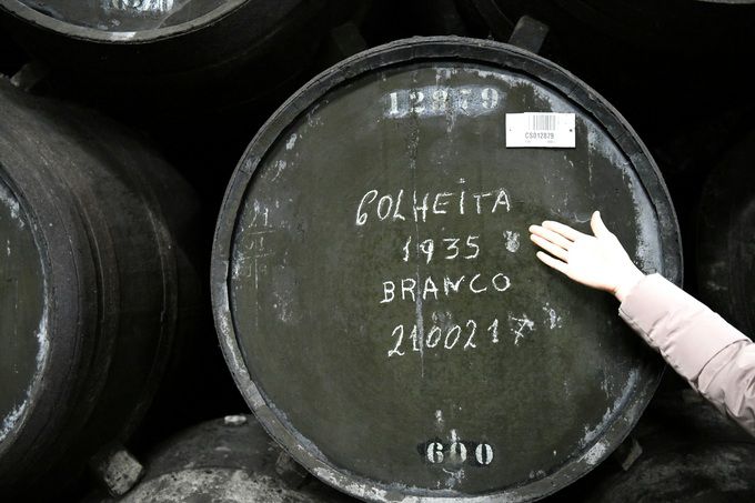 콜헤이타 1935. 최현태 기자