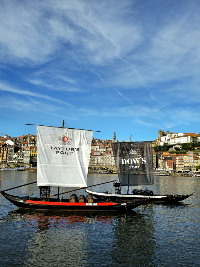 Taylor’s Port, Dow’ Port. 최현태 기자