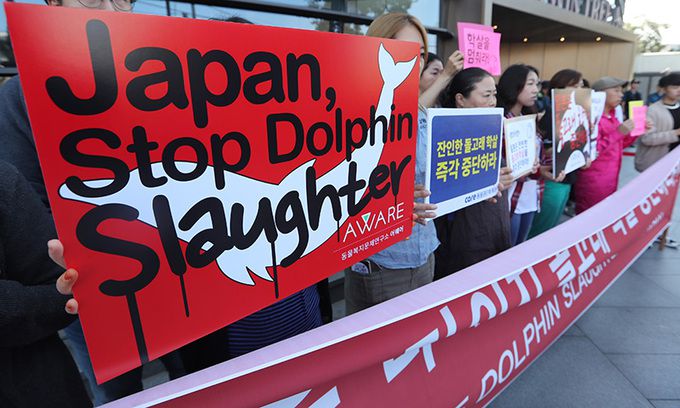 지난 2017년 9월 18일 동물보호단체 관계자들이 기자회견을 열고 일본 정부에 돌고래 학살을 중단할 것을 촉구하고 있다. 연합뉴스