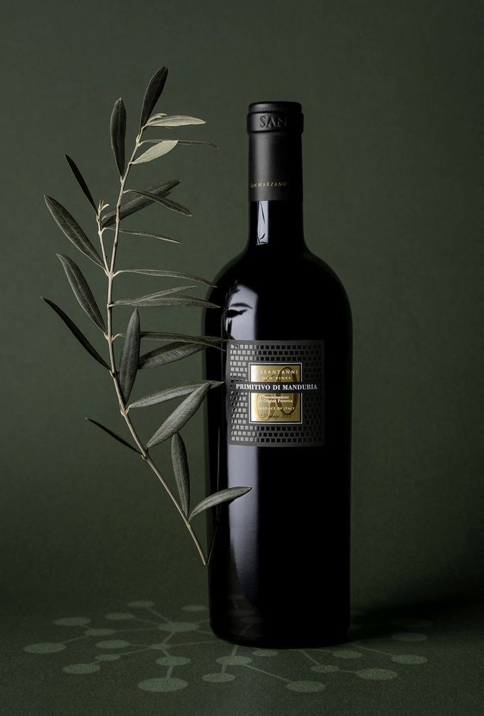 세산타니. 인스타그램