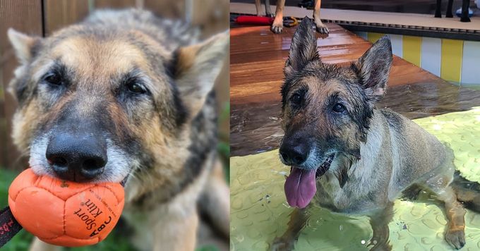 강형욱 인스타그램 캡처