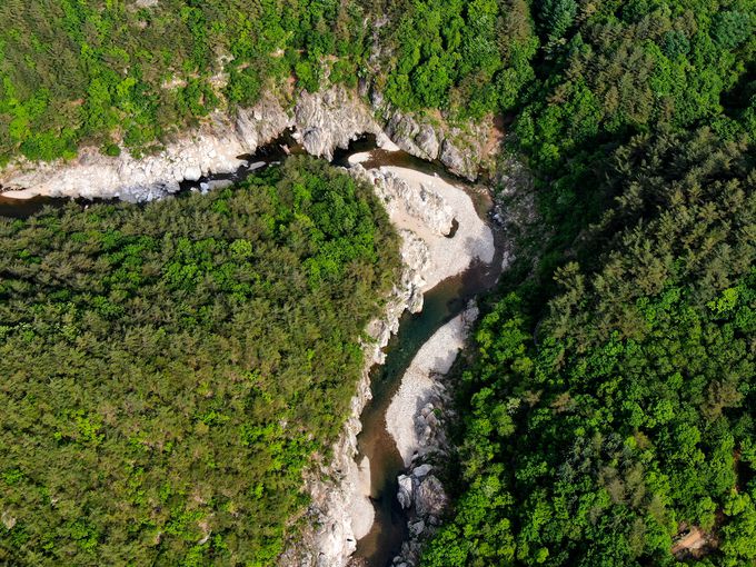 왕피천생태 탐방로.