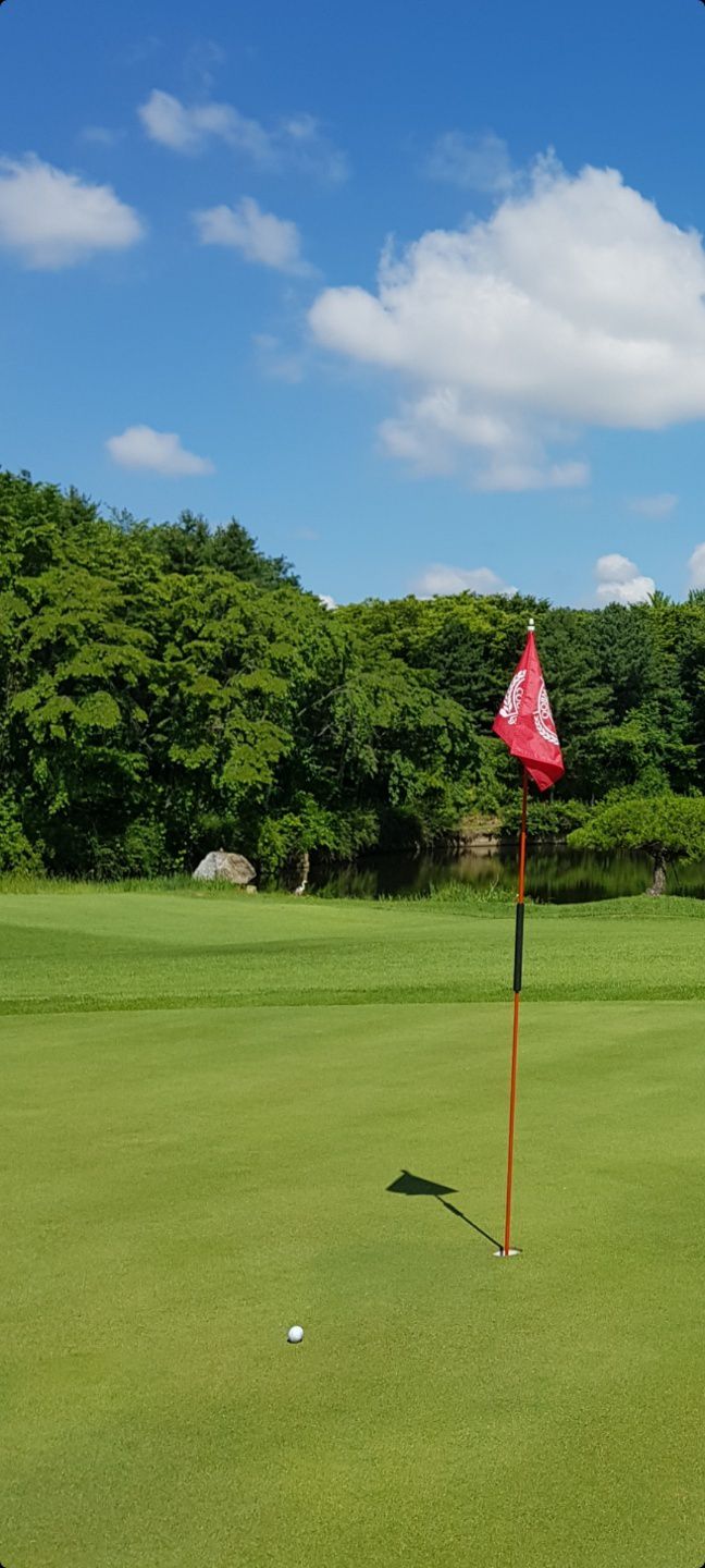 세계일보 자료 사진.