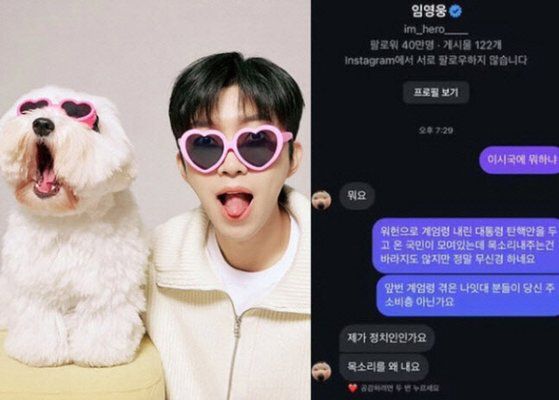 윤석열 대통령 탄핵소추안 표결이 진행되고 있던 지난 7일 가수 임영웅이 올린 게시물(왼쪽)과 네티즌과 주고받은 다이렉트메시지(DM). 온라인 커뮤니티 캡처