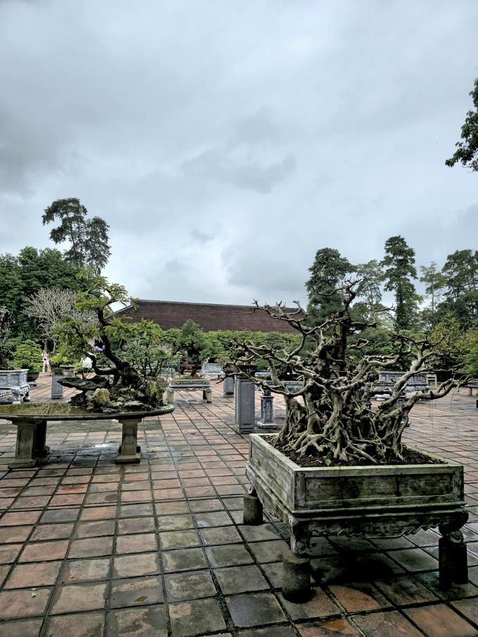티엔무 사원 분재 정원.
