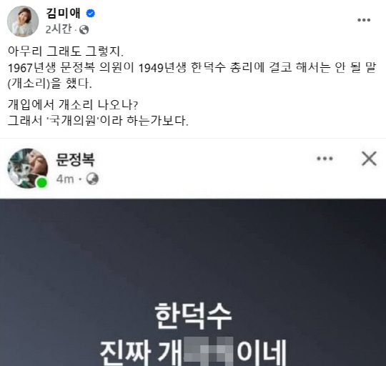 김미애 국민의힘 의원이 지난 26일 문정복 더불어민주당 의원의 '한덕수(대통령 권한대행) 진짜 개XX이네' 발언 페이스북 게시물 캡처를 공유하며 공개 비판했다. 김미애 국회의원 페이스북 게시물 캡처
