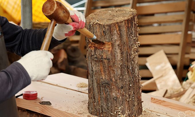 선택한 통나무를 크기에 맞게 재단해 목불의 형태를 잡는 걷목치기를 한다.