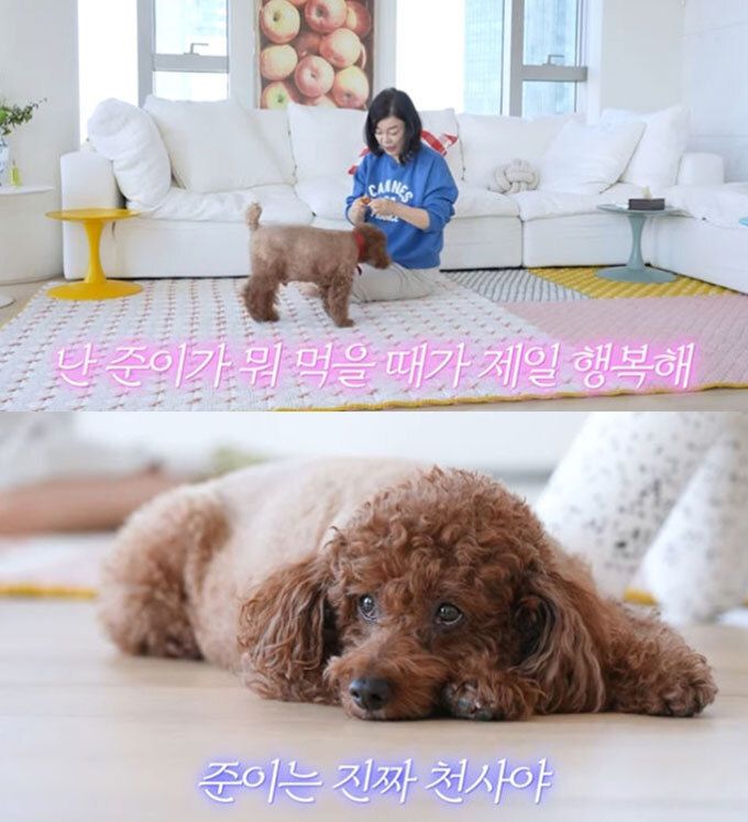 사진=유튜브 채널 ‘안녕하세요 최화정이에요’ 캡처