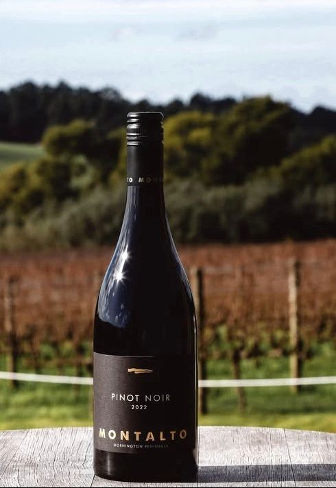 몬탈토 피노누아. 인스타그램