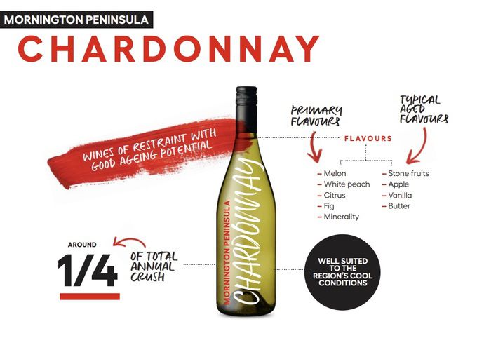 모닝턴 페닌슐라 샤르도네 캐릭터. 호주와인협회