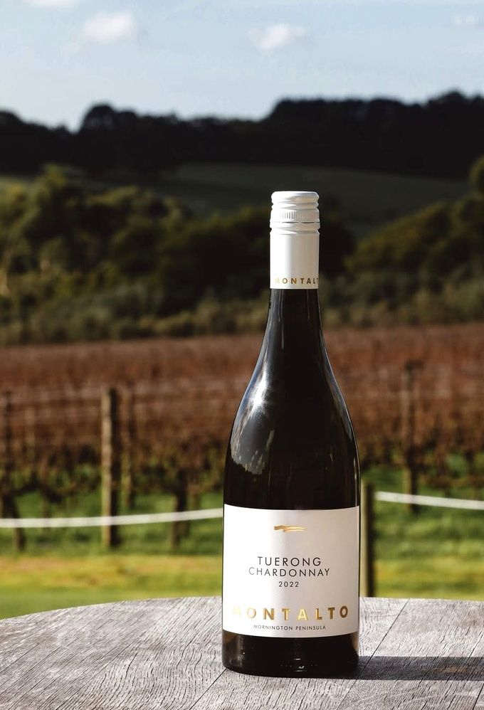 몬탈토 싱글 빈야드 투롱 샤르도네.  인스타그램