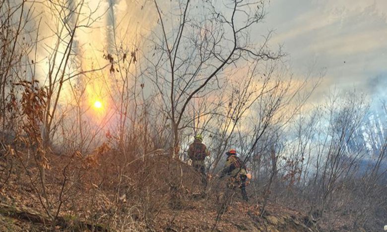 119산불특수대응단이 산불을 진화하고 있다. 경북소방본부 제공
