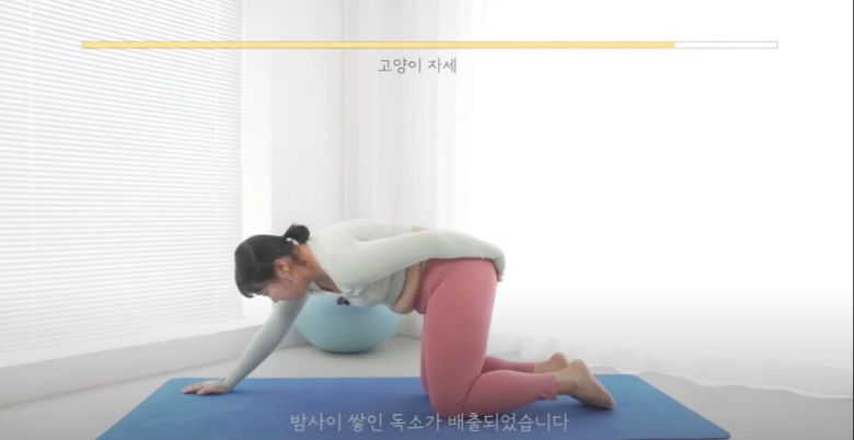 이수지가 요가를 다룬 새 유튜브 영상을 올렸다. 유튜브 채널 '핫이슈지' 캡처