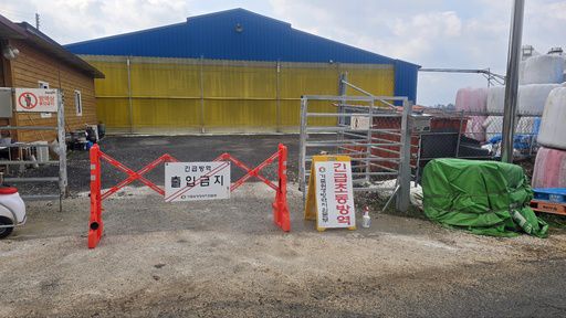 18일 전남 영암군 덕진면에서 차로 4㎞ 정도 떨어진 영암군 도포면 한 농장에서 사육 중인 소가 전날부터 침 흘림 증세를 보여 방역 기관에 신고했고, 동물위생시험소 정밀검사 결과 양성으로 확인됐다.