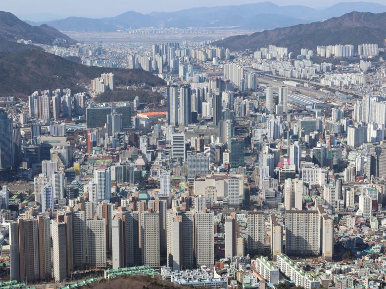 세계일보