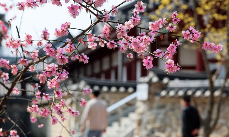 세계일보