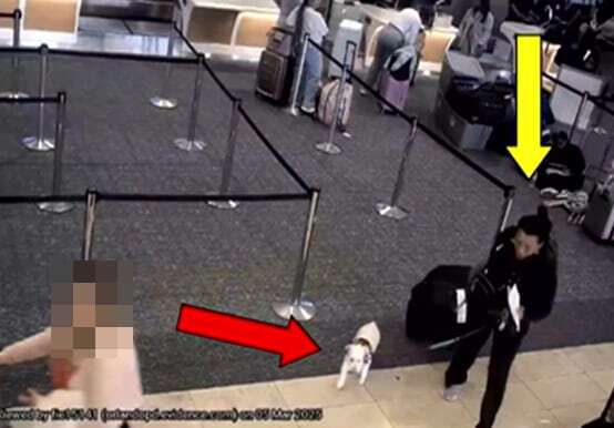 올랜도국제공항에서 앨리슨 로렌스가 반려견을 데리고 이동하는 모습. 올랜도경찰 제공