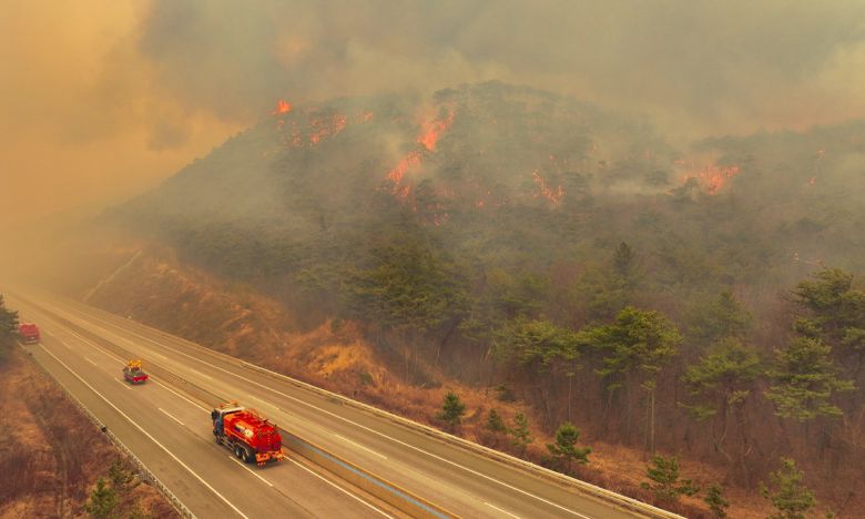 지난 24일 의성군 점곡면을 지나는 서산영덕고속도로가 산불로 인해 통제되고 있다. 연합뉴스