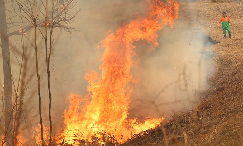 26일 경북 영양군 입암면 방전리 야산에서 입암면 의용소방대원이 산불 진화 작업을 하고 있다. 연합뉴스