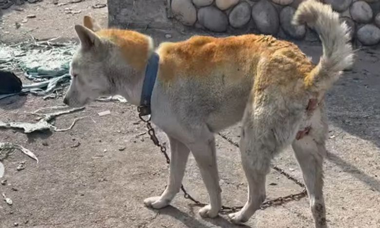 세계일보