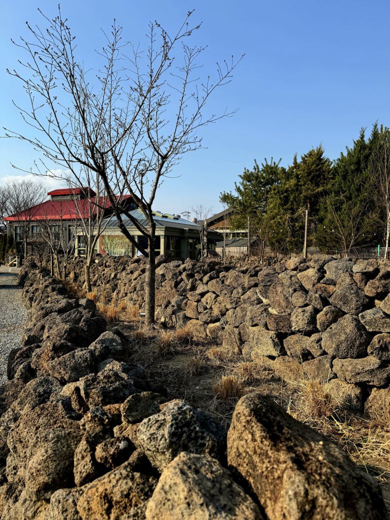 안동 세트장에서 옮긴 춘천세계주류마켓 돌담길.  춘천세계주류마켓 제공
