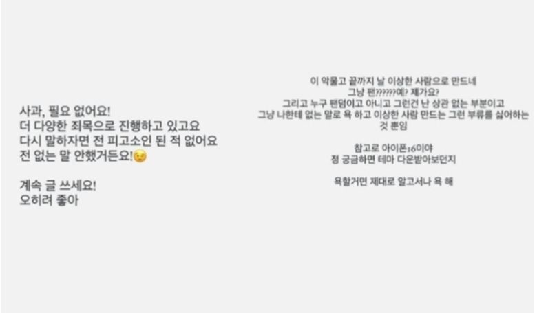 송다은이 악플러들을 고소한 사실과 함께 향후 고소 계획을 밝혔다. 송다은 인스타그램 갈무리