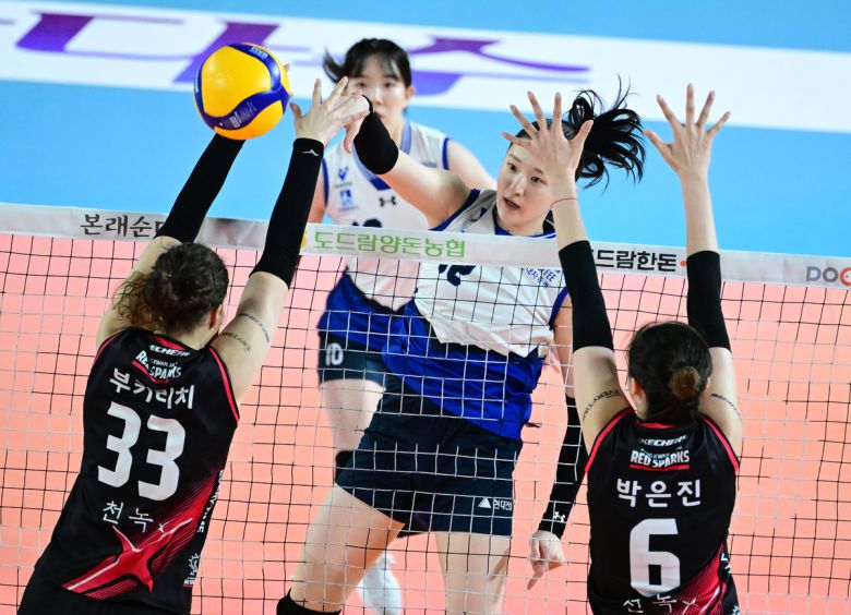 세계일보