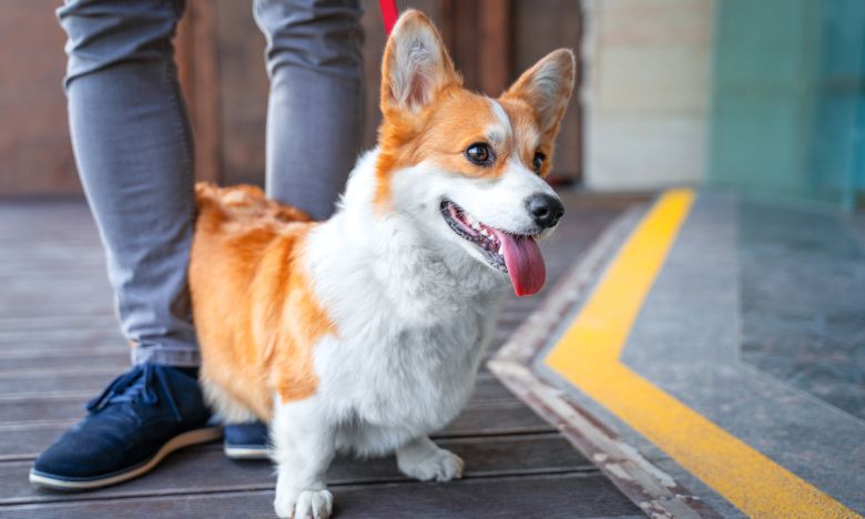 사진=게티이미지뱅크