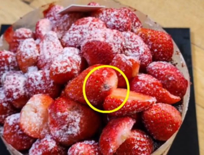 대전의 대표 빵집 성심당의 인기 케이크인 딸기 시루에서 곰팡이가 발견됐다. 채널A 캡처