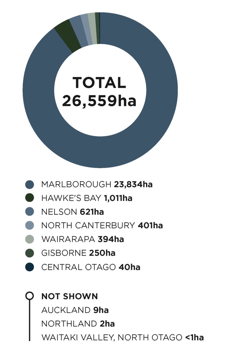 뉴질랜드 소비뇽블랑 산지별 생산 현황. 협회