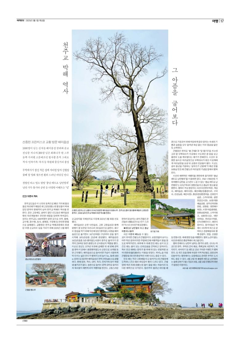 세계일보 여행면. 편집=김창환 기자