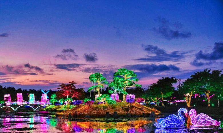 야간 조명을 켠 네이처 월드.