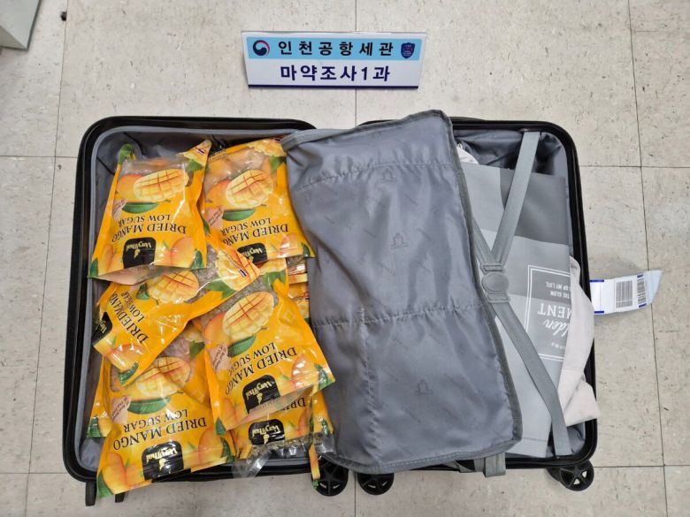 여행가방 속 건망고에 든 대마초