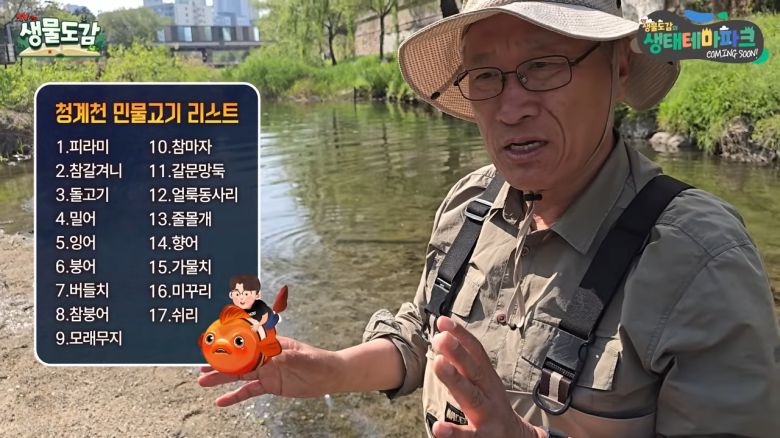 이완옥 박사가 청계천 서식 어류에 대해 설명하고 있다. TV생물도감 영상 캡처