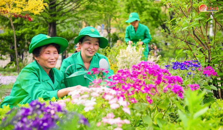 북한 노동당 기관지 노동신문은 15일 만경대구역원림사업소에서 "수도의 거리를 더욱 아름답게 가꾸어갈 열의에 넘쳐 있는" 노동자들을 조명했다.