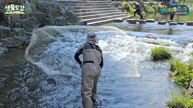 연구진이 청계천 어류종 다양성 조사를 위해 그물을 던지고 있다. TV생물도감 영상 캡처