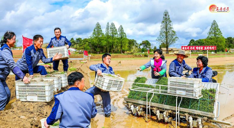 북한 노동당 기관지 노동신문은 11일 "평원군 원화농장에서 모내기가 시작됐다"면서 "올해를 다수확의 자랑찬 성과로 빛내기 위해 떨쳐나선 이곳 농장원들의 기세는 대단했다"라고 보도했다.