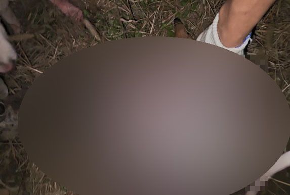 야생동물을 잔인한 방법으로 학대해 도살하고 불법 포획한 모습. 제주도자치경찰단 제공