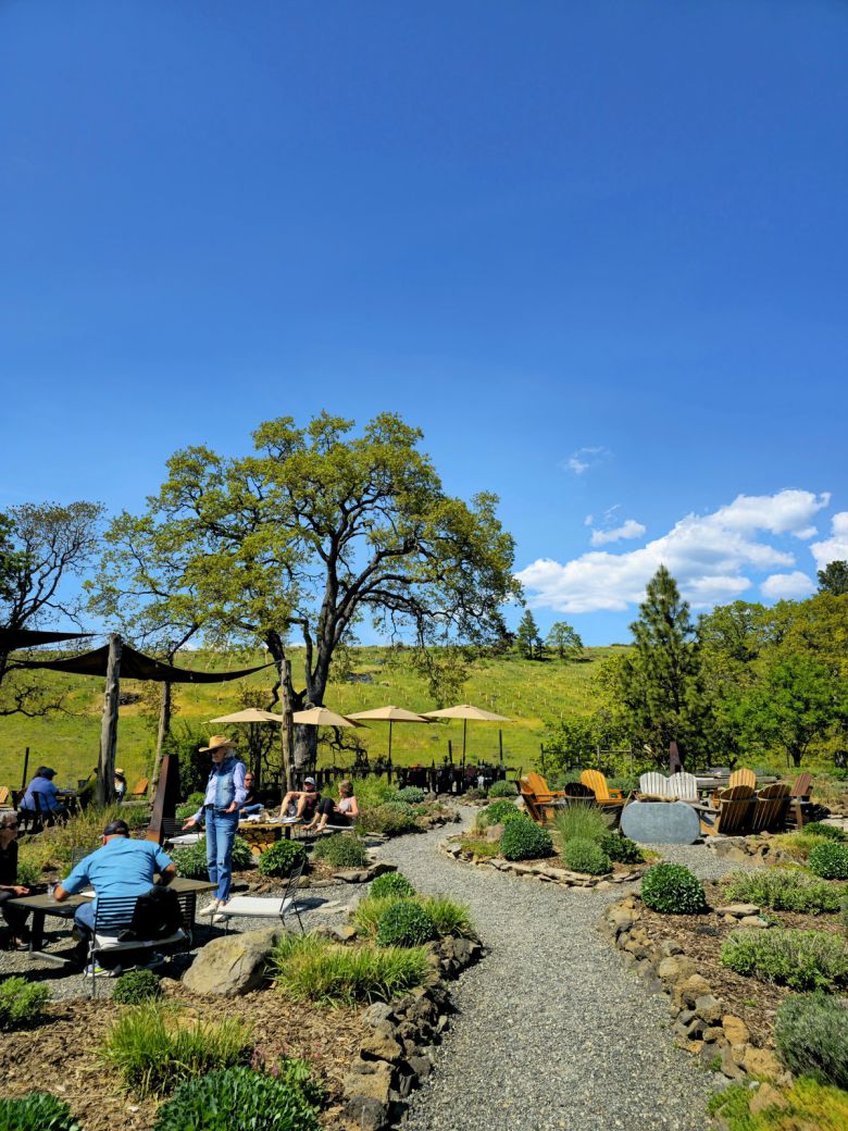 씬클라인 와이너리 야외 레스토랑.