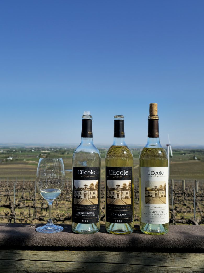 레콜 넘버 41 화이트 와인.