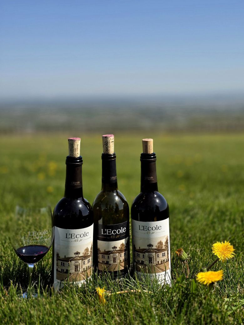 레콜 넘버 41 레드와인.