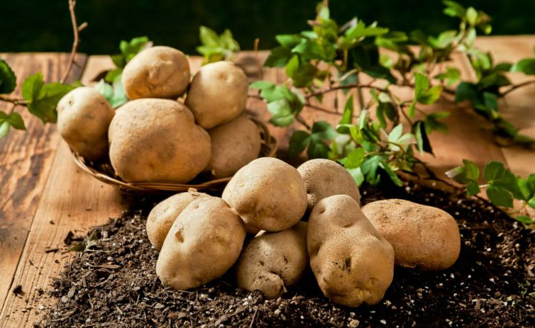 게티이미지뱅크