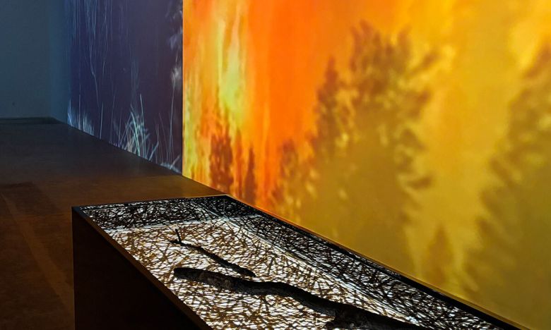 ‘산불 1946-2024’, ‘대멸종 1946-2024’, ‘끝나지 않을 대화’ 전시 전경. 피크닉 piknic 제공